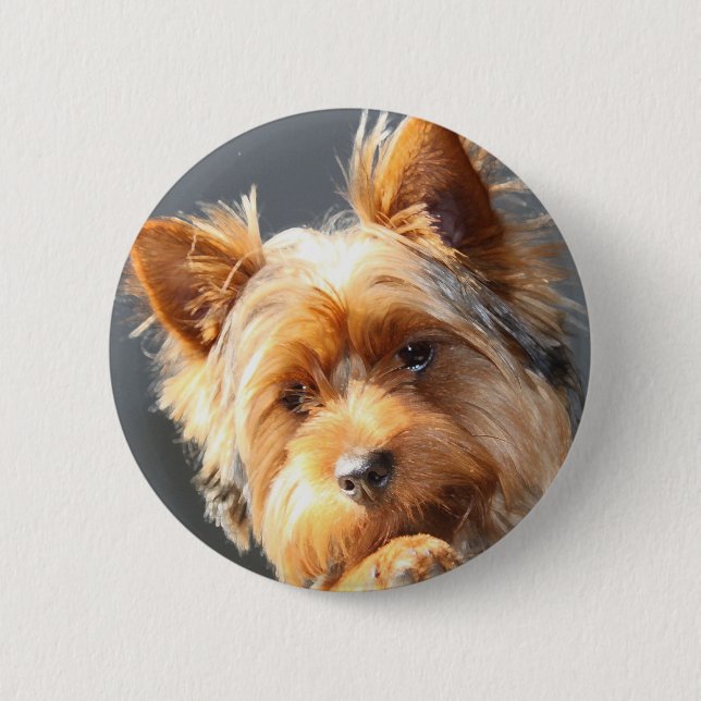 Bóton Redondo 5.08cm yorkie (Frente)