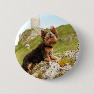 Bóton Redondo 5.08cm Yorkshire terrier