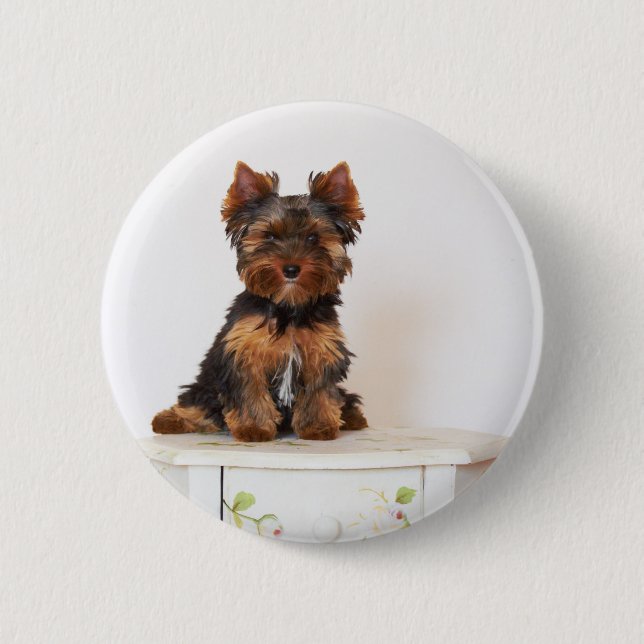 Bóton Redondo 5.08cm Yorkshire terrier (Frente)