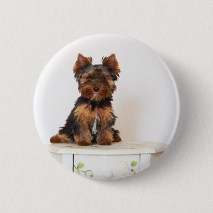 Bóton Redondo 5.08cm Yorkshire terrier