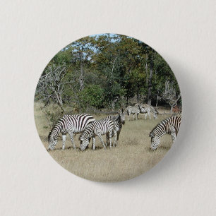 Bóton Redondo 5.08cm Zebras