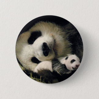 Bóton Redondo 5.08cm zoo-atlanta_giant_panda_lun-lun_and_cub