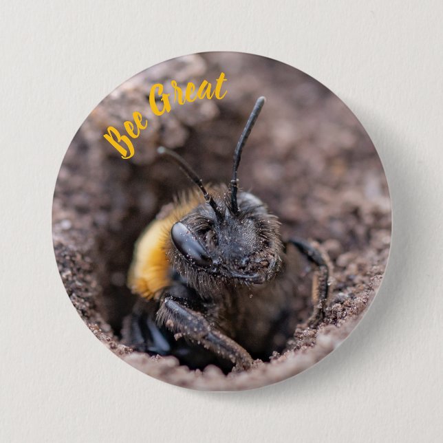 Bóton Redondo 7.62cm A bee on a badge (Frente)