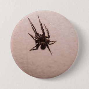 Bóton Redondo 7.62cm Aranha-lobo