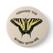 Borboleta-do-sudoeste