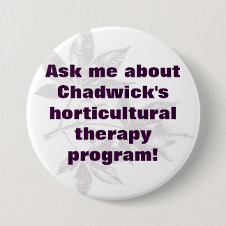 Bóton Redondo 7.62cm botão 2