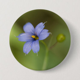 Bóton Redondo 7.62cm Botão floral Eyed azul do Wildflower da grama