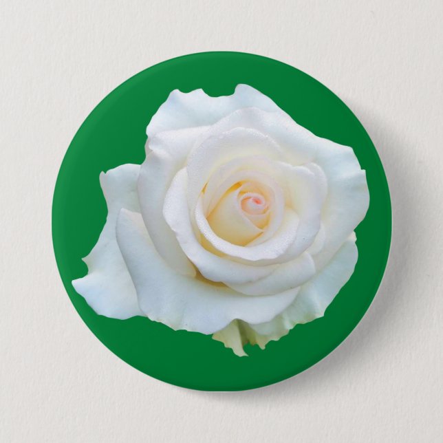 Bóton Redondo 7.62cm Botão Memorial do Julgamento de Bruxa de Connectic (Frente)