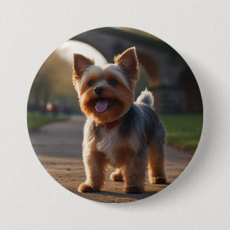 Bóton Redondo 7.62cm Bóton Redondo 2.54cm Yorkshire