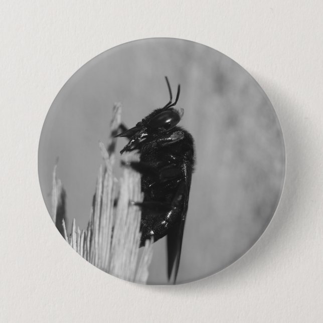 Bóton Redondo 7.62cm Bumblebee (Frente)