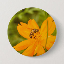 Bóton Redondo 7.62cm Bumblebee on a Sulfur Cosmos