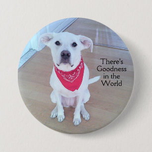 Bóton Redondo 7.62cm Cachorro Doce Cara Bonito no Botão do Mundo