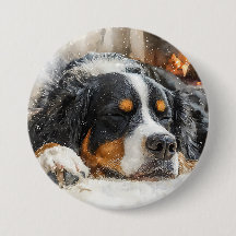 Cão de Montanha Bernês