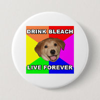 Cão do conselho