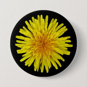 Bóton Redondo 7.62cm Flor amarela ensolarada do dente-de-leão do verã