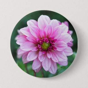 Bóton Redondo 7.62cm Flor Dahlia