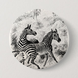Bóton Redondo 7.62cm Ilustração velha retro das zebras das zebras dos
