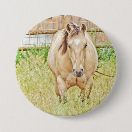 Bóton Redondo 7.62cm Manhã Preguiçosa