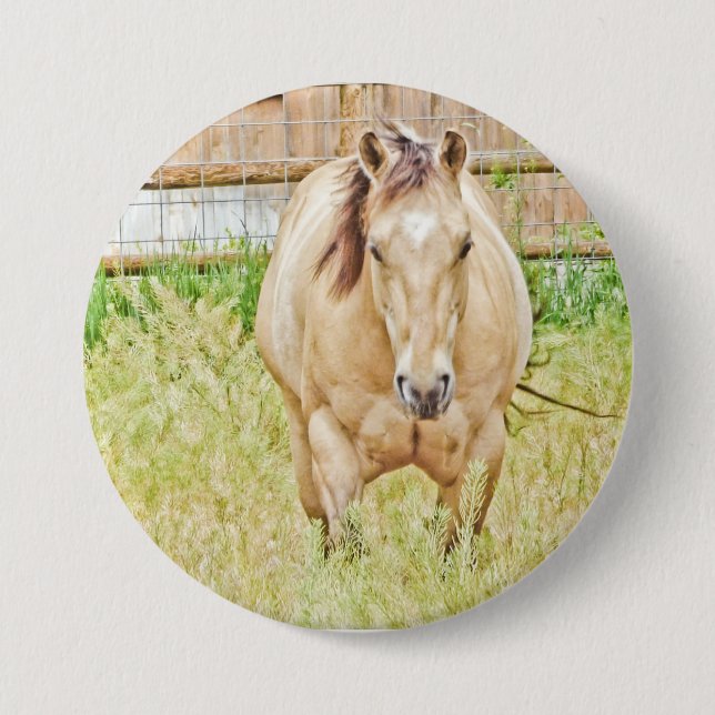 Bóton Redondo 7.62cm Manhã Preguiçosa (Frente)