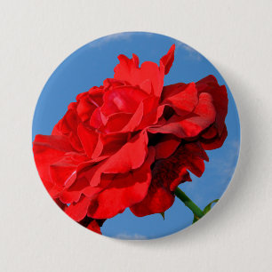 Bóton Redondo 7.62cm Rosa Don Juan rosa com um céu azul
