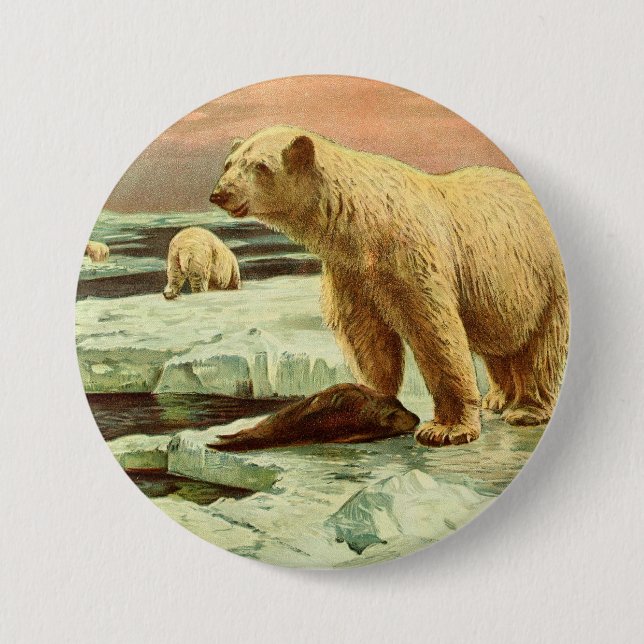 Bóton Redondo 7.62cm ursos polares em geleiras Desenho artístico da déc (Frente)