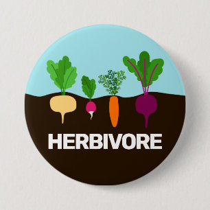 Bóton Redondo 7.62cm Vegan - produtos hortícolas coloridos herbívoros