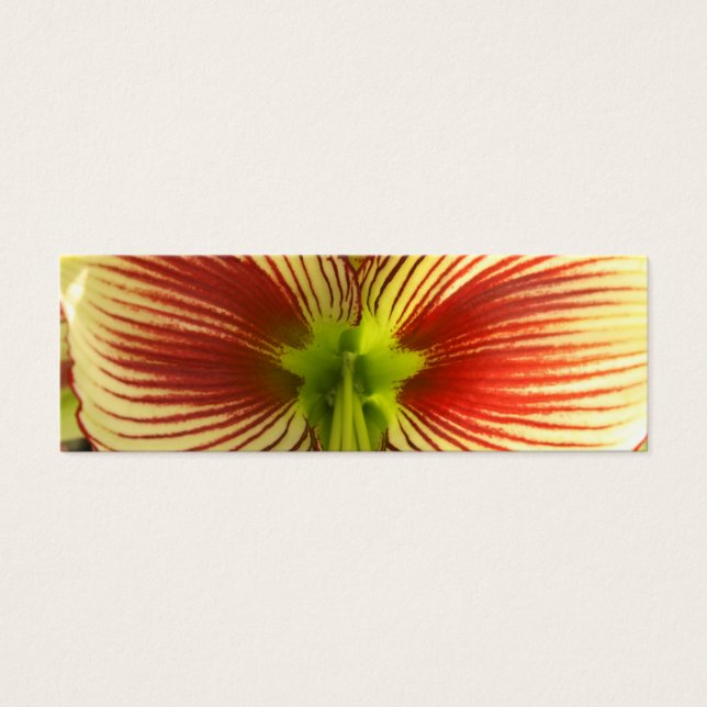 Botterfly Amaryllis Bookmark (Frente)
