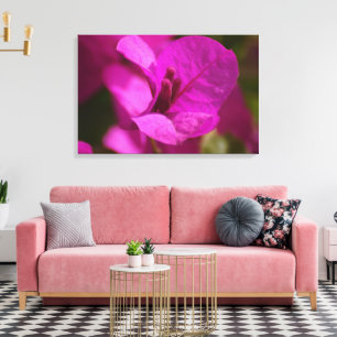 Bougainvillea Beauty Stretch Canvas Impressão