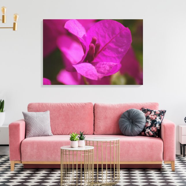 Bougainvillea Beauty Stretch Canvas Impressão (Insitu(Sala de estar))
