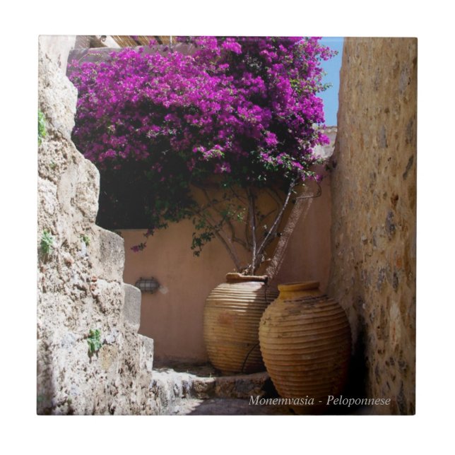 Bougainvillea na anfosia (Frente)
