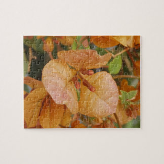 Bougainvillea Quebra-cabeça