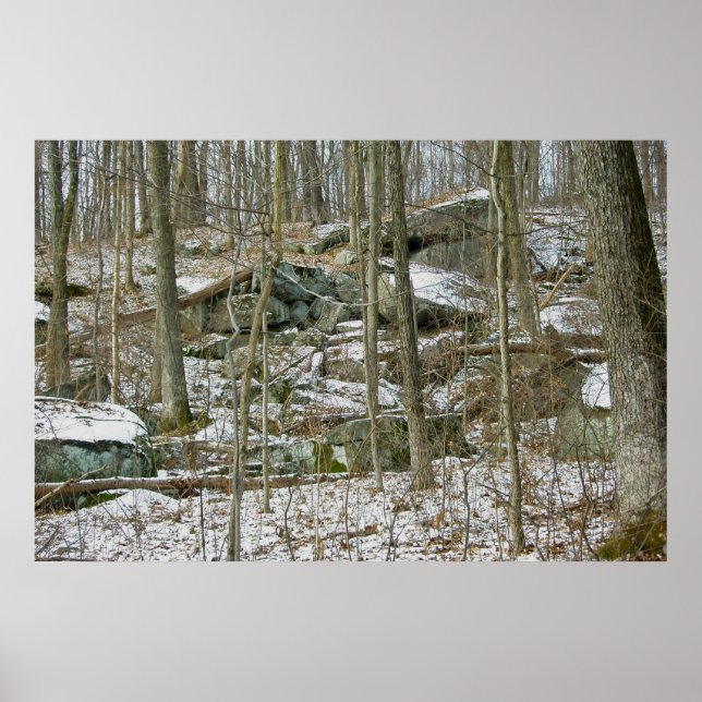 Boulders in Winter Woods Poster (Frente)