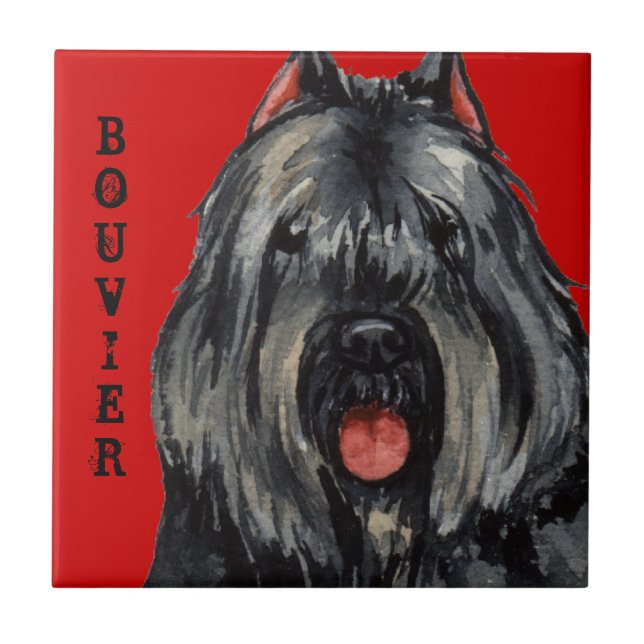 Bouvier Color Block (Frente)