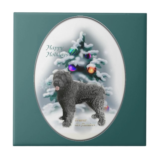 Bouvier des Flandres Natal (Frente)