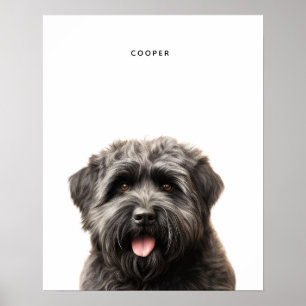 Bouvier Des Flandres Personalizado Impressão
