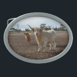 Bovinos no Alvo: Vacas Highland Trilham Heist<br><div class="desc">Imaginada em um cadarço agora estéril,  esta vaca malvada Highland comeu as mudas</div>
