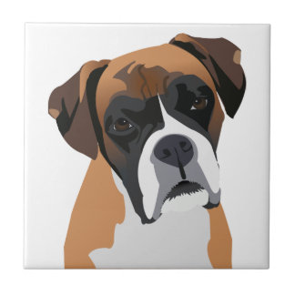 Boxer