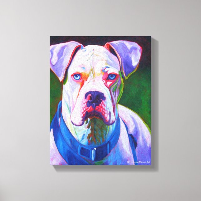 Boxer branco na Canvas (Frente)