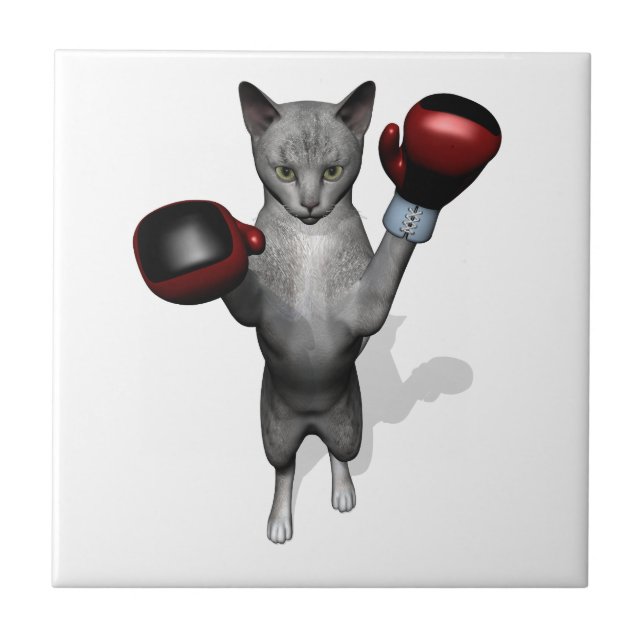 Boxer Cat (Frente)