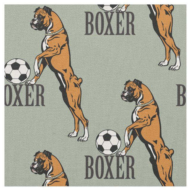 boxer com tecido de bola de futebol (Detalhe)