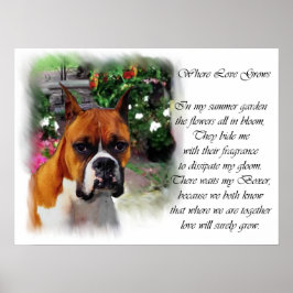 Boxer Dog Art Impressão