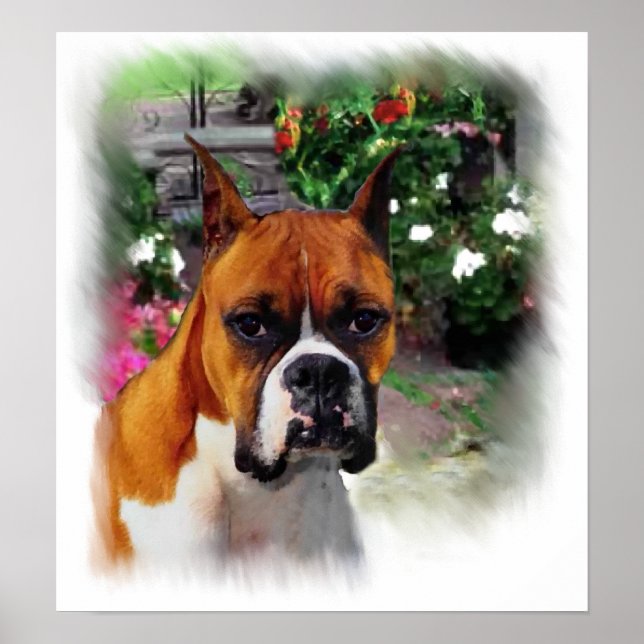 Boxer Dog Art Impressão (Frente)