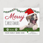 Boxer Dog Cartões de natal- Do Natal Dos Cachorros<br><div class="desc">Crie dos cartões de Natal dos cães para enviar cartões de cão de férias a amigos que são amantes de cães. Personalize com sua saudação. Os cartões de Natal dos cães farão seus amigos apaixonados por cachorros sorrir. Os cartões de cão perfeitos para as empresas de estimação enviarem aos seus...</div>