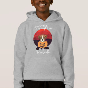 Boxer In Pumpkin Dogs Pumpkin No Patch