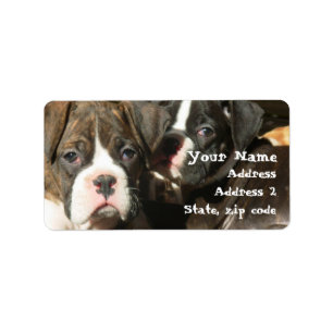 Boxer puppies Endereço Etiquetas