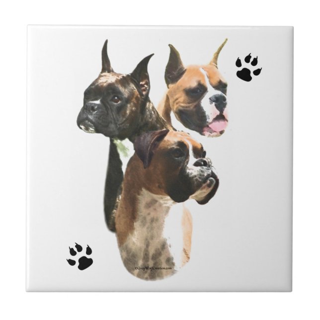 Boxer Trio (Frente)