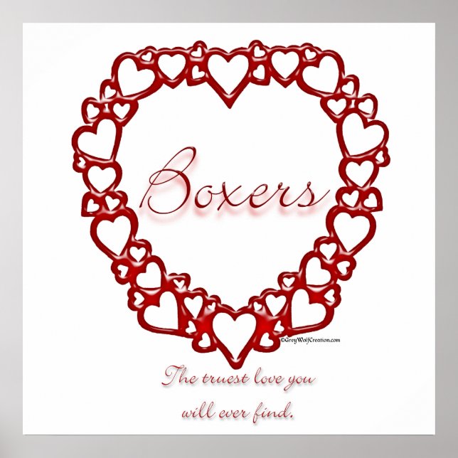 Boxer True Love Poster (Frente)