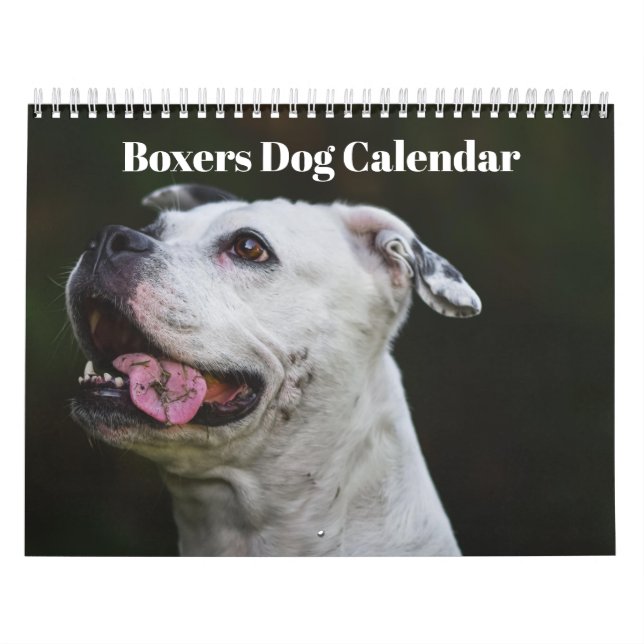 Boxers - Calendário 2025 (Capa)