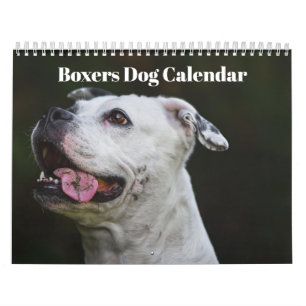 Boxers - Calendário 2025