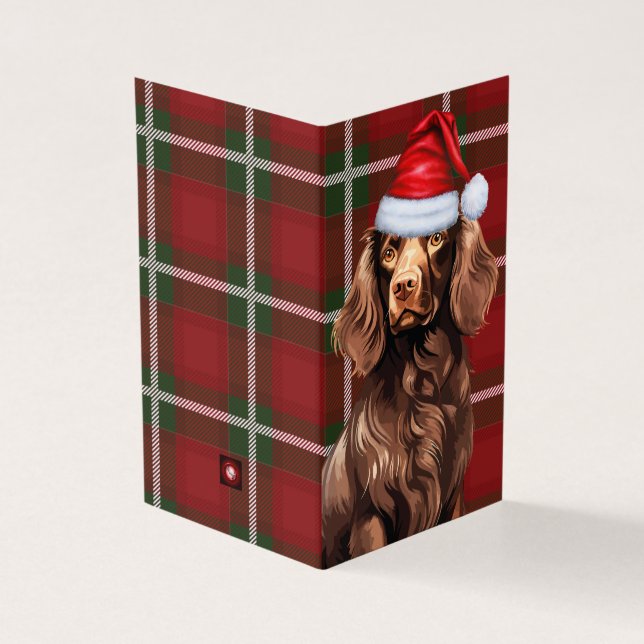 Boykin Spaniel Christmas Dog com Xadrez de Natal (Exterior)